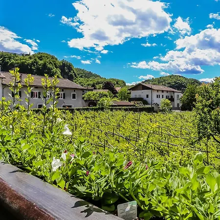 Garni Meinrad 2* Ora / Auer